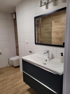 a bathroom with a sink and a toilet at Axo-Hostel 7 in Stalowa Wola