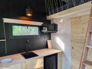 a small kitchen with a sink and a microwave at Moose home Tiny House Basalt in Cros +10 photos