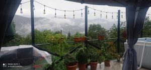 Giardino di GUEST HOUSE RIMAS HOME
