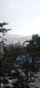 Paesaggio naturale nelle vicinanze dell'affittacamere