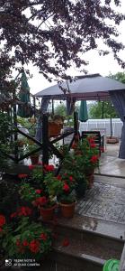 Giardino di GUEST HOUSE RIMAS HOME
