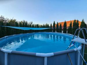 a large plunge pool with blue water in a yard at Pensiunea Energy in Căpuşu Mic