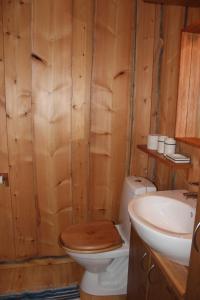 レヴィにあるJana Cottage Leviのバスルーム(トイレ、洗面台付)