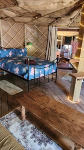 Gallery image of Vigo Retreat Boat yurt in Wrotham