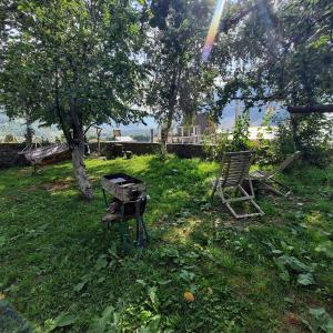 A garden outside GIO-NIKA