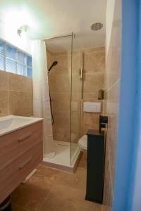 a bathroom with a shower and a toilet and a sink at Les Chambres du Clavero in Claviers