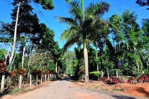 Coffee Crown Homestay - 1KM Falls, Home Food & Coffee Estate外面的花园