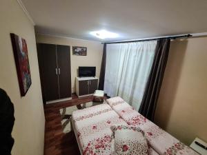 a living room with a couch and a television at Vis de Munte in Mănăstirea Humorului