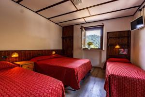 a hotel room with two beds and a window at Hotel Saint Nicolas Gran Paradiso in Saint Nicolas