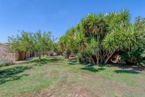 Φωτογραφία από το άλμπουμ του Masseria Copertini σε Vernole