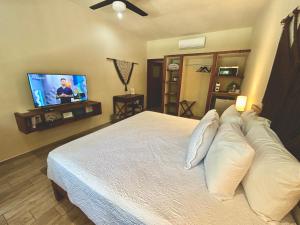 una camera da letto con un letto con cuscini e una TV a schermo piatto di Aldea Xaan Ha Tulum a Tulum Altre 130 foto
