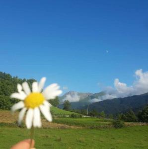 Paesaggio naturale nelle vicinanze dell'affittacamere