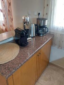 a kitchen counter with appliances on top of it at Sofia's house in Kilkís