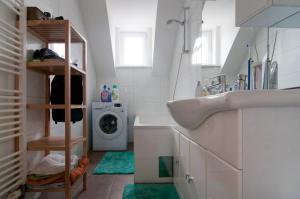 a bathroom with a sink and a washing machine at Room in Rooftop Apartment in Vienna +10 photos