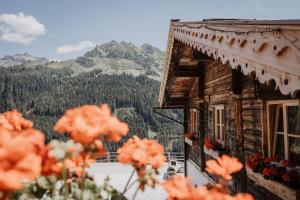 Splošen pogled na gorovje oz. razgled na gore, ki ga ponuja prenočišče