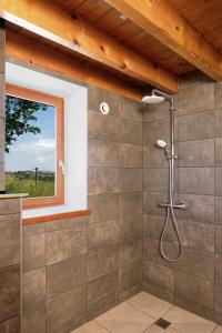 a shower in a bathroom with a window at Séjour au Domaine Saint Marcel de Félines in Saint-Marcel-de-Félines