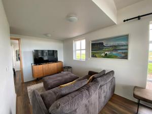 a living room with a couch and a flat screen tv at Myrarkot Country Home in Selfoss