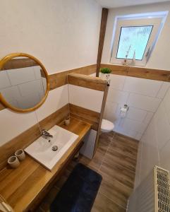 a bathroom with a sink and a mirror and a toilet at Ferienwohnung-Anna in Fischbach bei Dahn