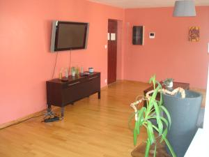Μια τηλεόραση ή/και κέντρο ψυχαγωγίας στο Appartement Courcelles