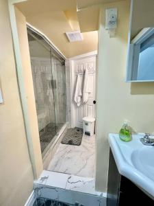 a bathroom with a shower and a sink at K9 Room Near Airport in Mississauga