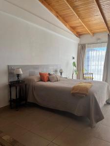 Un dormitorio con una cama grande y una ventana. en Loft D-Oro, en Comodoro Rivadavia