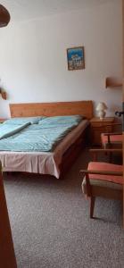 een slaapkamer met een bed, een bureau en een stoel bij Apartmán Siná in Lazisko