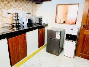 a kitchen with a counter and a refrigerator in it at Rose Pearl Apartment in Entebbe