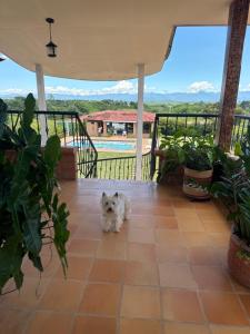 Balkón nebo terasa v ubytování finca turística DanuBio Alojamiento Rural Pereira Risaralda