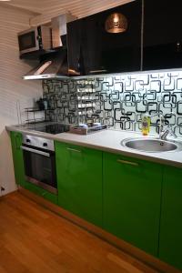 a kitchen with green cabinets and a sink at Golden Valley in Sarajevo