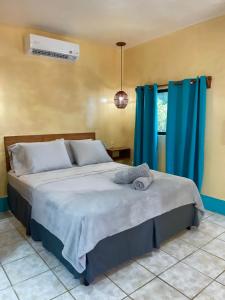 Apartments at Los Delfines Little Corn客房内的一张或多张床位