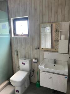 ein Badezimmer mit Toilette und Waschbecken in der Unterkunft Athi Hotel in Mannar + 15 Fotos