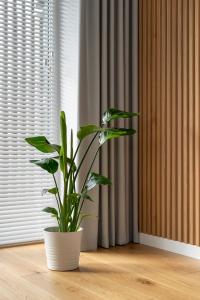 a plant in a white pot sitting on a wooden floor at D33 Vilnius - Brand New Luxury Apartment with Terrace, Garden, AC and Parking in Vilnius