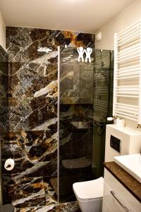 een badkamer met toilet en glazen douche bij Kamienica Nova VITORE 116 in Szczecin