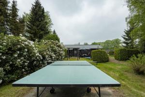 a blue ping pong table in a garden at Ferienhaus Groenhoff 35122 in Hesel