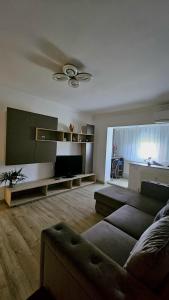 BuzăuにあるRose residenceのソファとテレビのあるリビングルーム