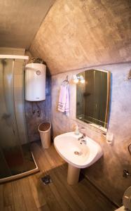 a bathroom with a sink and a shower at Detached house Milivoje in Pošćenje +47 photos