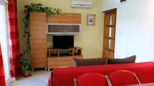 Apartments Buturić في سالي: غرفة معيشة بها أريكة حمراء وتلفزيون