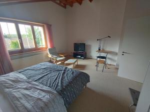 a bedroom with a bed and a desk and a television at schönes Haus 5 separates Zimmer mit Sauna in Bonstetten