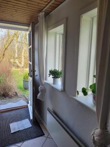 Vườn quanh Astrup vig Spa og Sauna