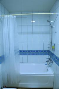 een badkamer met een bad en een douche met een douchegordijn bij Grand Emir Residence in Bukhara