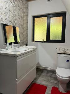 a bathroom with a toilet and a sink and two windows at Cabana A Morarului in Teiuş +17 photos