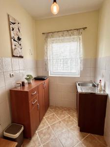 Kuchyň nebo kuchyňský kout v ubytování Apartman Rosić
