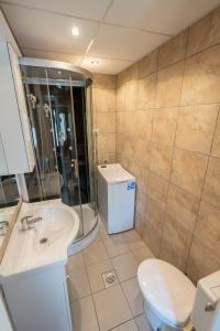 Apartmaji Loreta的一间浴室