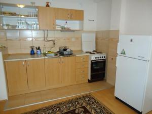 Kuchyň nebo kuchyňský kout v ubytování Apartments Grunche