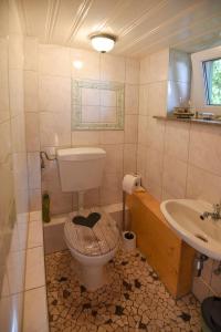 une salle de bains avec toilettes et lavabo dans l'établissement Harzglück, à Thale