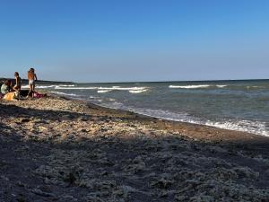 Naturlandskabet i nærheden af lejligheden
