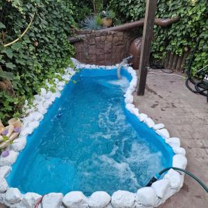 a swimming pool with a hose in a backyard at Agroturystyka Gramburg in Zblewo