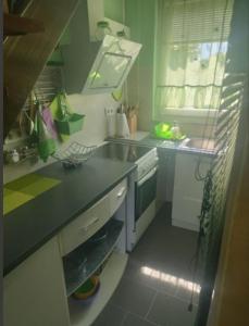 a kitchen with a sink and a counter top at Studio apartman Karmen in Varaždin Breg