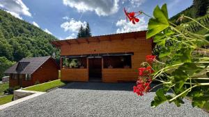 Afbeelding uit fotogalerij van Cabana Lazea in Gîrda de Sus