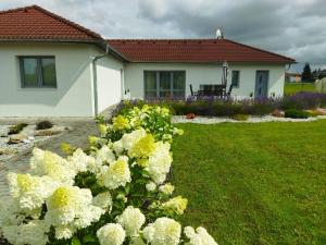 Vonkajšia záhrada v ubytovaní Apartmán Pavlík